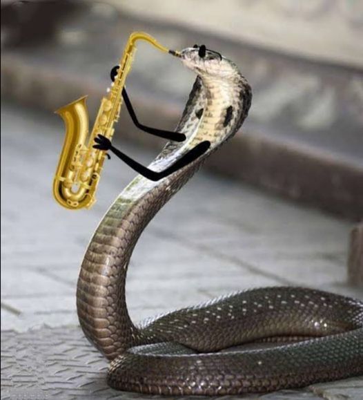 Trumpet snake
